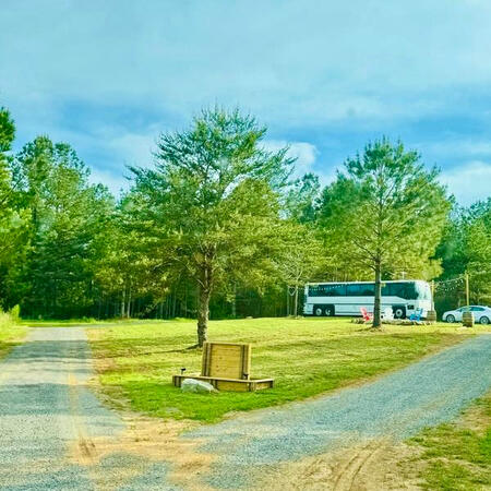 Welcome to Busport—our little slice of Alabama pinewoods paradise where our bus is parked and life slows down.